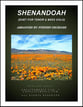 Shenandoah (Duet for Tenor and Bass Solo) Vocal Solo & Collections sheet music cover